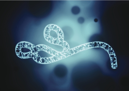 Ebola Ebola
